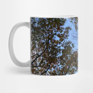 Tree Tops Mug